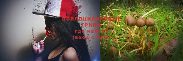 мдпв Беломорск