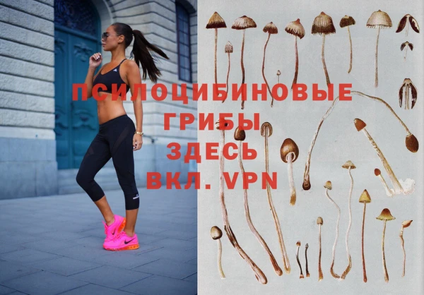 прущие крисы Белокуриха
